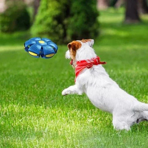 Frisbee Bal Combineert