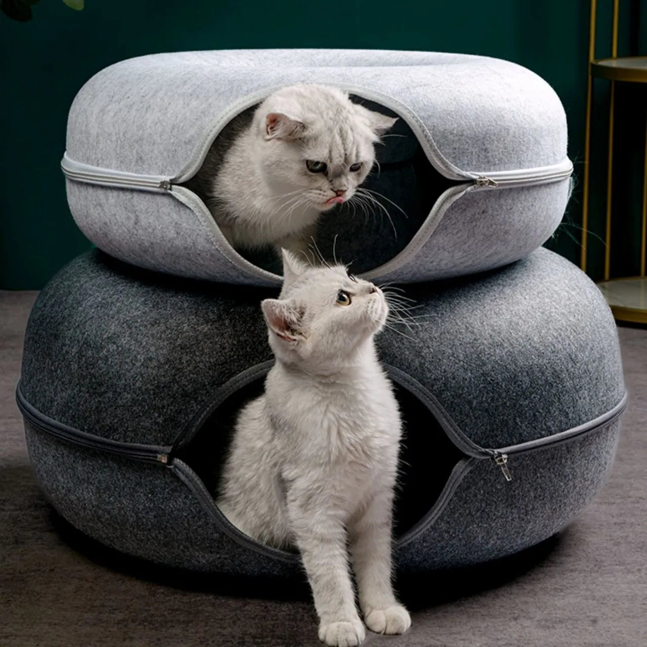 Interactief Kattenbed met Tunnel