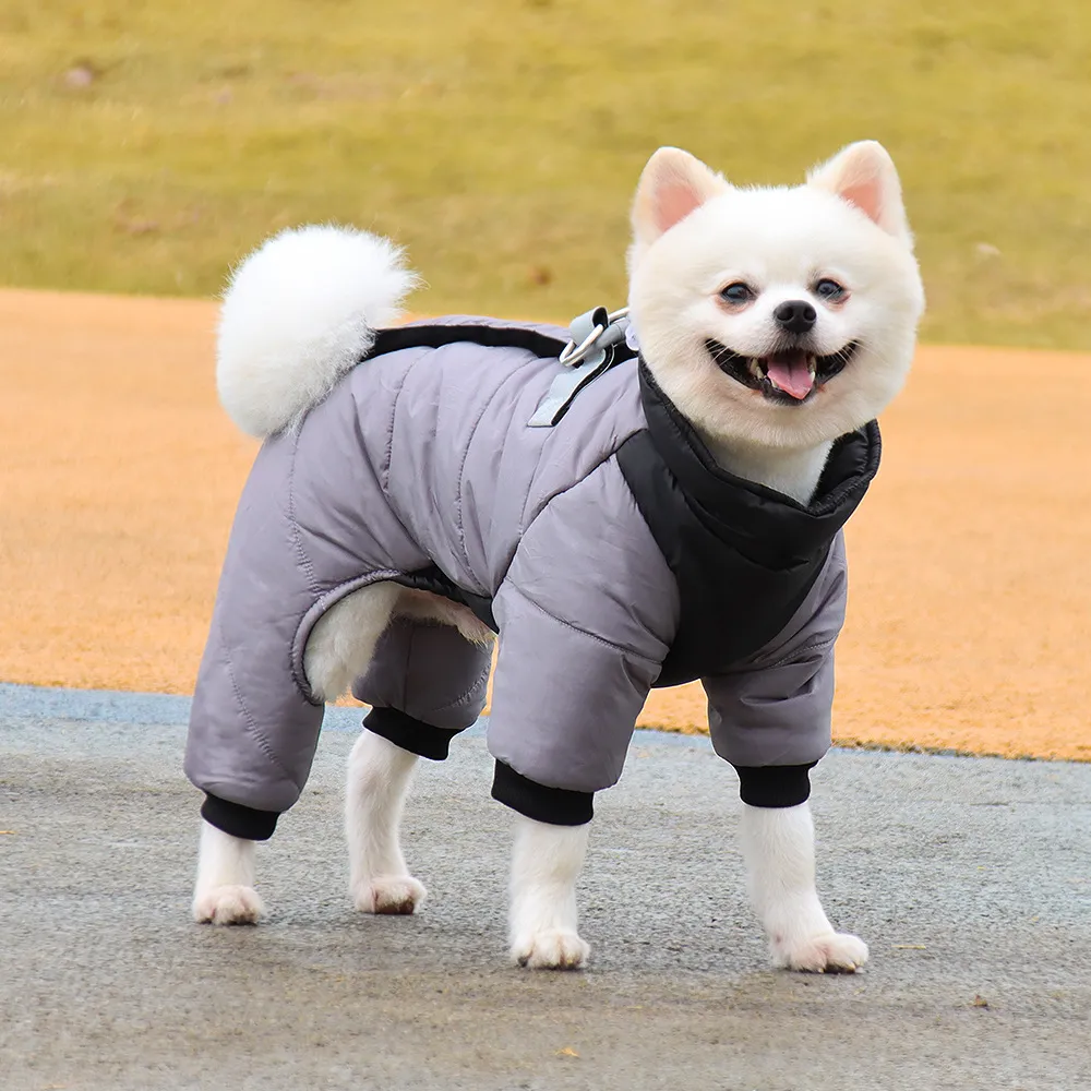 Waterdichte Winterjas Kleine Honden