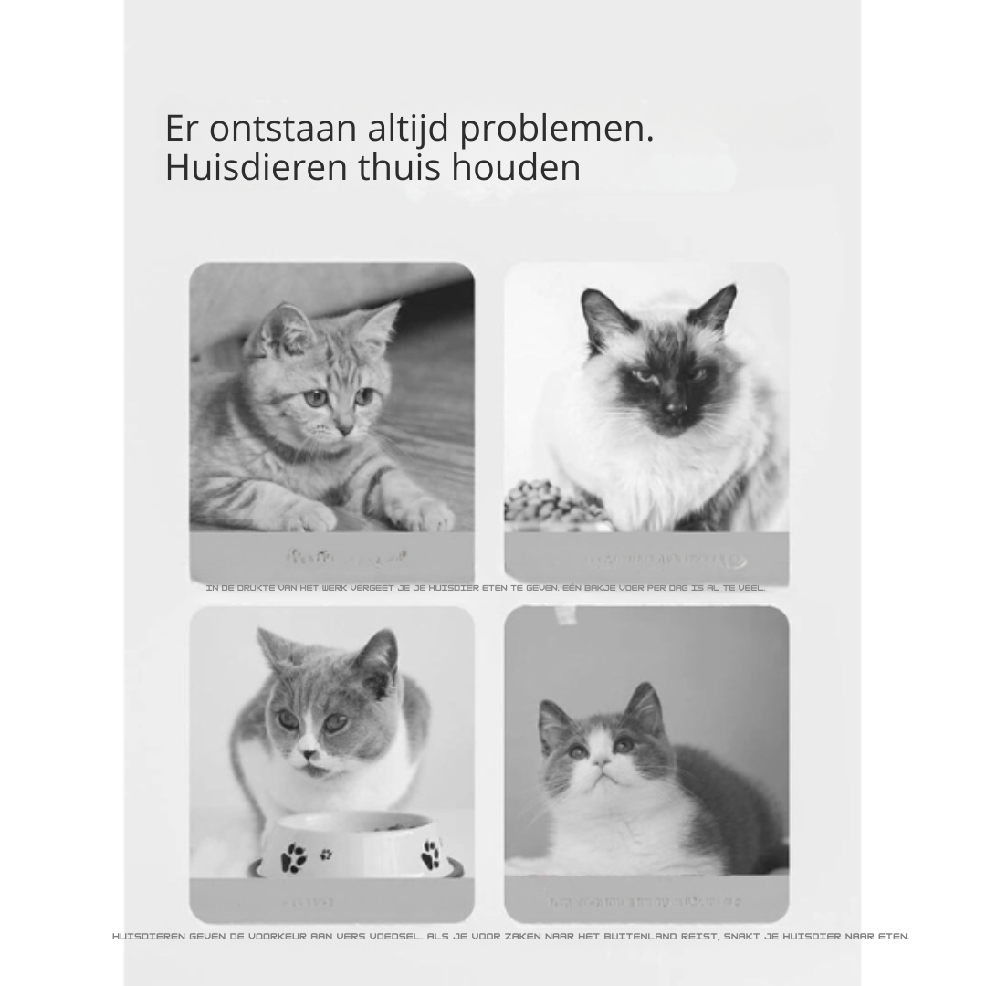 Zelfvullende Waterfunctie Honden Katten